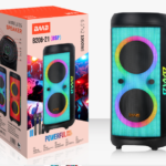 NDR Partyspeaker outdoor BAAB brand speaker B206-21  2*6.5inch 60W NDR AUDIO NDR SPEAKER