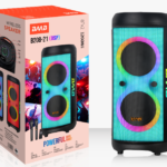 NDR Partyspeaker outdoor BAAB brand speaker  B208-21  2*8 inch 60W NDR AUDIO NDR SPEAKER