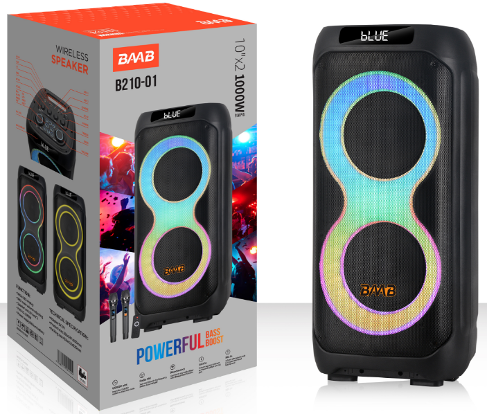 B210-01 NDR Partyspeaker outdoor BAAB brand speaker B210-01 (2*10 inch) 50W NDR AUDIO NDR SPEAKER - Image 1