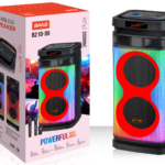 NDR Partyspeaker outdoor BAAB brand speaker  B210-09  2*10 inch 40W  NDR AUDIO NDR SPEAKER