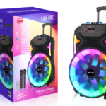 NDR Partyspeaker outdoor  speaker with pull rod  brand  JBR-1501    15 inch  20W  NDR AUDIO NDR SPEAKER
