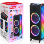 NDR Partyspeaker outdoor  speaker with  pull rod   NDR-1010S   2*10  inch  60W  NDR AUDIO NDR SPEAKER