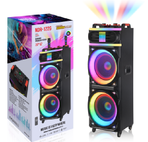 NDR-1226 NDR Partyspeaker outdoor speaker with pull rod NDR-1226 2*12 inch 100W NDR AUDIO NDR SPEAKER - Image 1