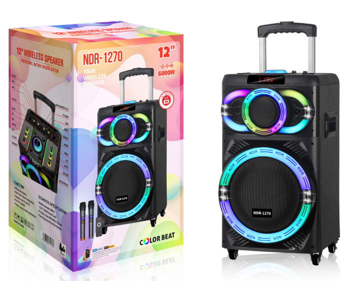 NDR-1270 12“ NDR Partyspeaker outdoor speaker with pull rod NDR-1270 12 inch 60W NDR AUDIO NDR SPEAKER - Image 1