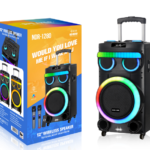 NDR Partyspeaker outdoor  speaker with  pull rod  NDR-1280   12  inch  60W  NDR AUDIO NDR SPEAKER