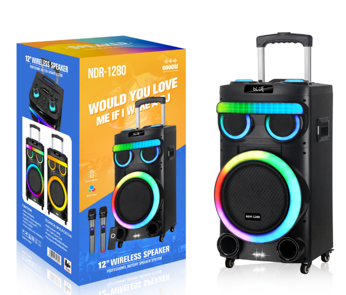 NDR-1280 12“ NDR Partyspeaker outdoor speaker with pull rod NDR-1280 12 inch 60W NDR AUDIO NDR SPEAKER - Image 1