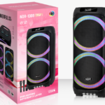 NDR Partyspeaker outdoor  speaker with  pull rod  NDR-1308（DSP）2x6.5inch   60W  NDR AUDIO NDR SPEAKER