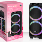 NDR Partyspeaker outdoor  speaker with  pull rod  NDR-1310（DSP）2x6.5inch   60W  NDR AUDIO NDR SPEAKER