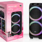 NDR Partyspeaker outdoor  speaker with  pull rod  NDR-1312（DSP）2x6.5inch   60W  NDR AUDIO NDR SPEAKER