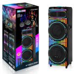 NDR Partyspeaker outdoor  speaker with  pull rod   NDR-2260    2*12  inch   80W  NDR AUDIO NDR SPEAKER