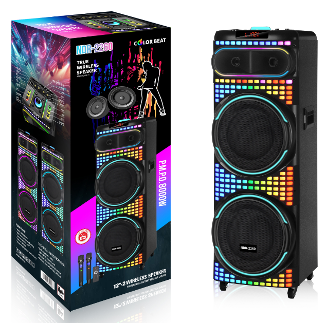 NDR-2260 NDR Partyspeaker outdoor speaker with pull rod NDR-2260 2*12 inch 80W NDR AUDIO NDR SPEAKER - Image 1