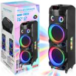 NDR Partyspeaker outdoor  speaker with  pull rod   NDR-7022    2*12  inch   100W  NDR AUDIO NDR SPEAKER
