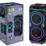 NDR Partyspeaker outdoor  speaker with  pull rod   NDR-822  2*8  inch  40W  NDR AUDIO NDR SPEAKER