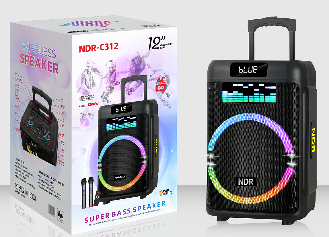 NDR-B313 NDR Partyspeaker outdoor speaker with pull rod NDR-B313 2*12 inch 100W NDR AUDIO NDR SPEAKER - Image 1