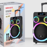 NDR Partyspeaker outdoor  speaker with  pull rod   NDR-B315   15  inch   60W  NDR AUDIO NDR SPEAKER