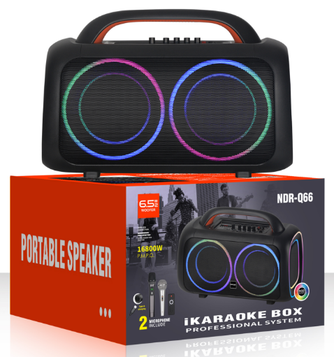 NDR-Q66 NDR Partyspeaker outdoor NDR-Q66 2*6.5inch NDR AUDIO NDR SPEAKER - Image 1
